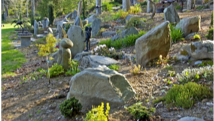 Photo of the Rock Garden